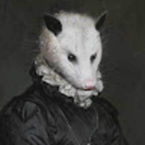 yassifiedpossum